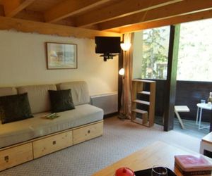 Apartment Grand Roc.3 Argentiere France