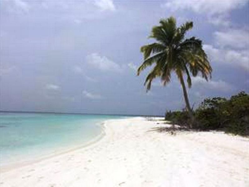 صورة الفندق 1