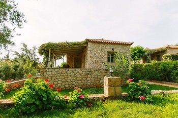 صورة الفندق 21