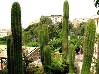 صورة الفندق 17