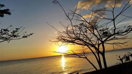 صورة الفندق 20