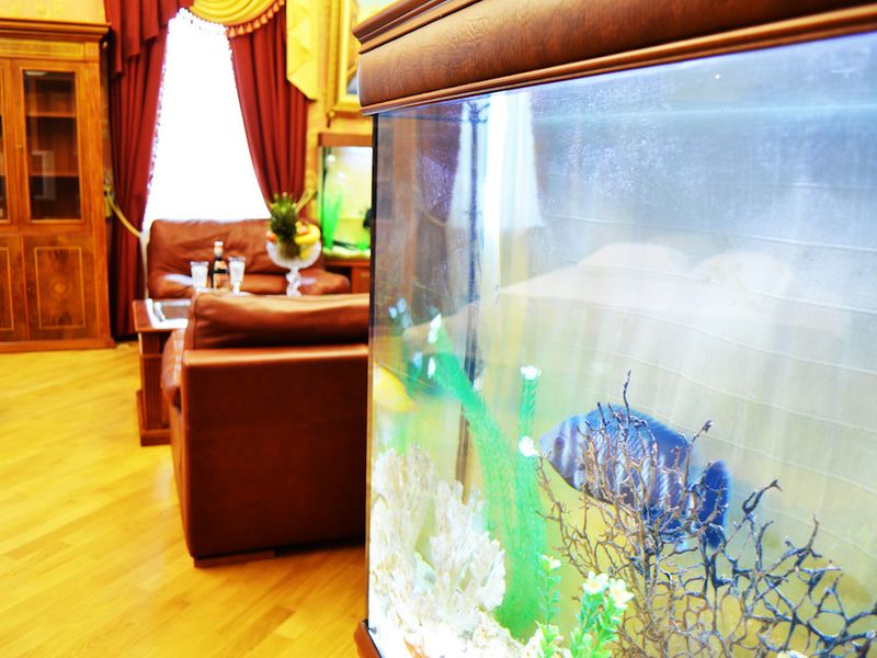 صورة الفندق 19