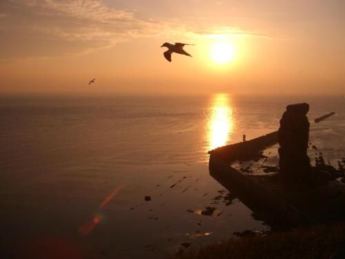 صورة الفندق 5