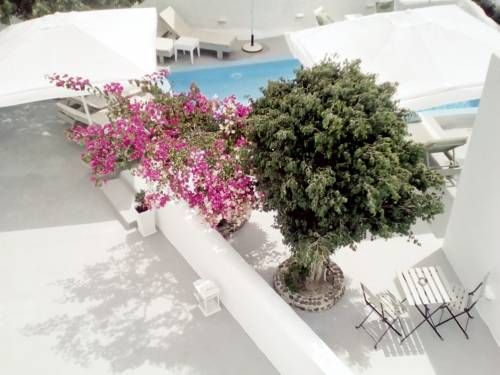 صورة الفندق 20