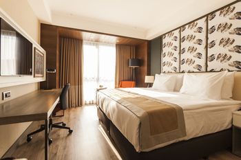 Holiday Inn Kayseri – Duvenonu, an IHG Hotel