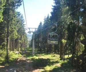 Harz-Rose Braunlage Germany