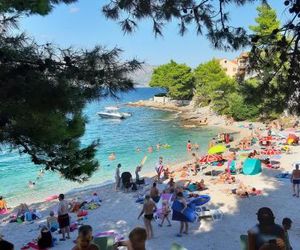 Apartments with a sea view Postira Brac - 2911 Postira Croatia