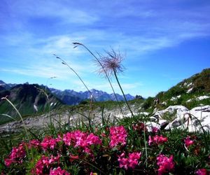 Alpenflair Ferienwohnungen "Haus Doris" Oberstdorf Germany