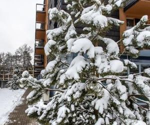 Violetos Lux Apartamentai Druskininkai Lithuania