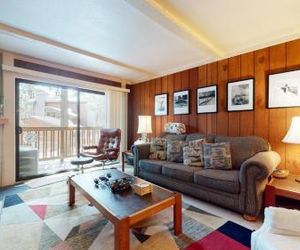 Summit 45 Apartment Mammoth Lake United States
