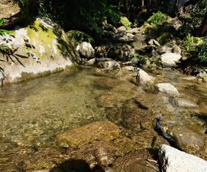 Guest House Views Yakushima Island Japan