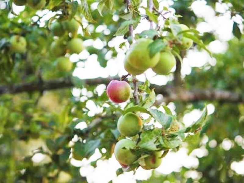 صورة الفندق 16