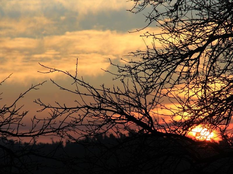 صورة الفندق 17