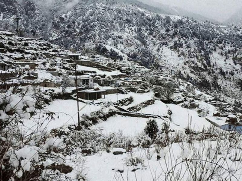 صورة الفندق 24