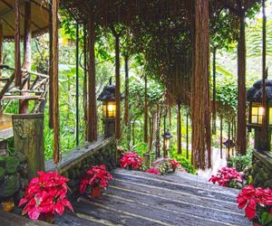 Fig Tree Hill Resort Balik Pulau Malaysia