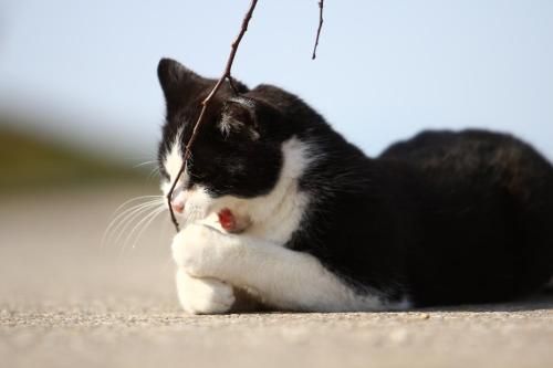 صورة الفندق 16