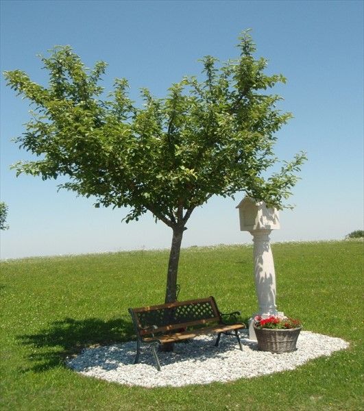 صورة الفندق 19