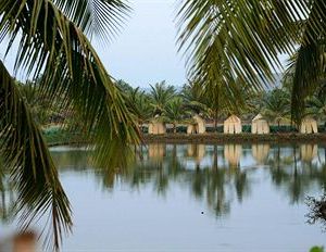 Om Lake Resort Arambol India