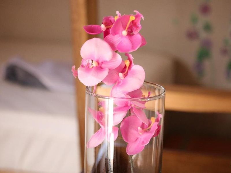 صورة الفندق 14