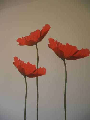 صورة الفندق 14