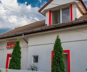 PENSIUNEA ADRIANA ARAD Arad Romania