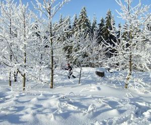 Ferienwohnungen Haus am Karpfenteich Hahnenklee-Bockswiese Germany