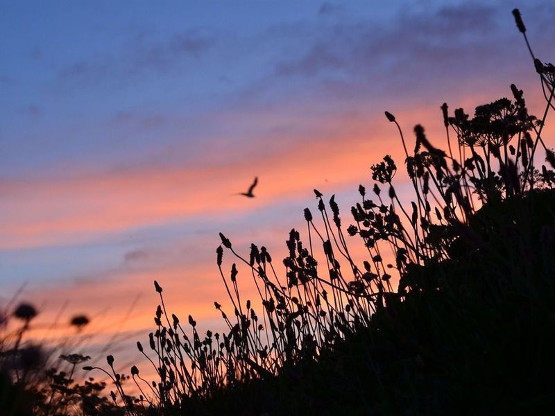 صورة الفندق 2