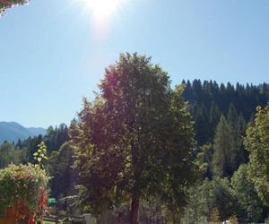Apartment Goldanger Wagrain Austria