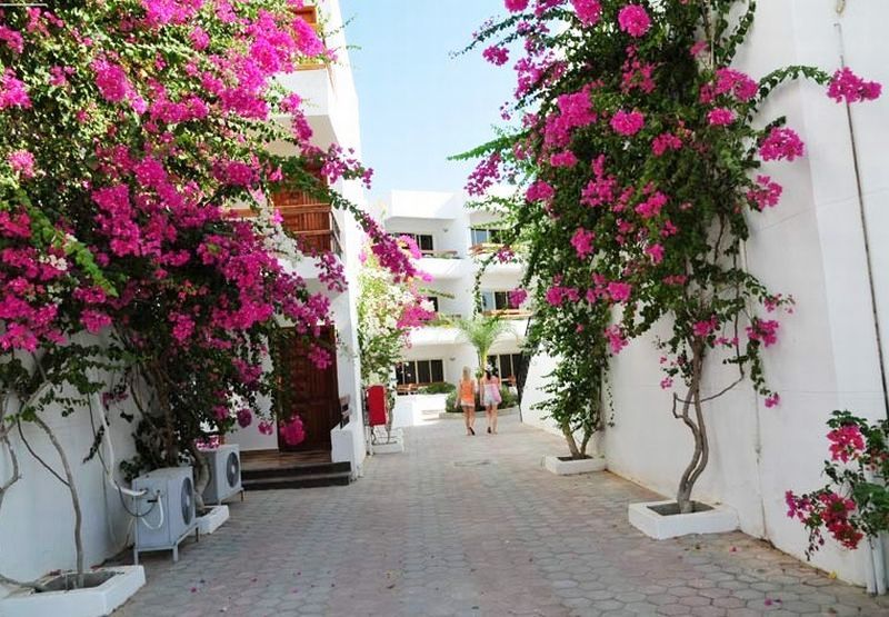 Hotel Photo 21