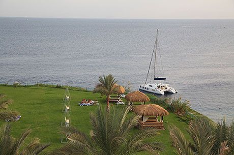 صورة الفندق 20