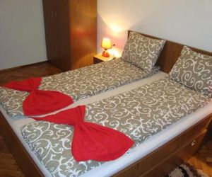 Apartament Miruna Sibiu Filarmonicii Sibiu Romania