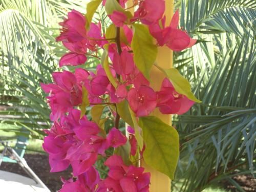 صورة الفندق 18