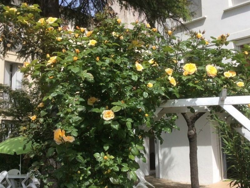 صورة الفندق 18