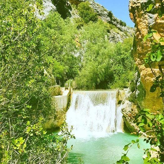 صورة الفندق 21