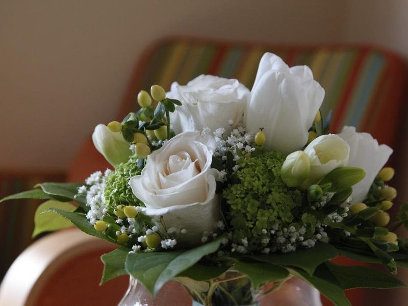 صورة الفندق 13