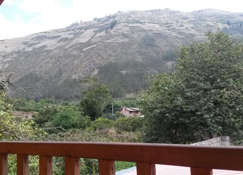 صورة الفندق 16
