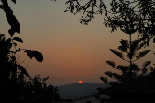 صورة الفندق 24