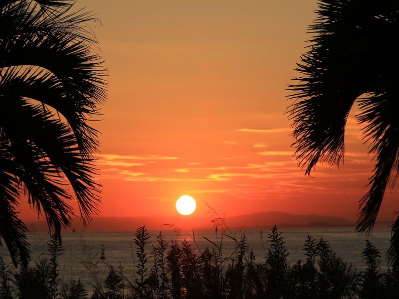 صورة الفندق 22