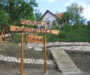 Pensiunea Agroturistica Diana Isvoranu Romania