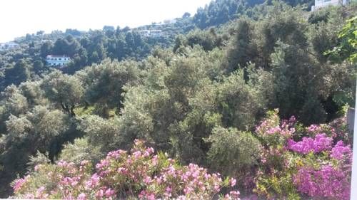 صورة الفندق 15