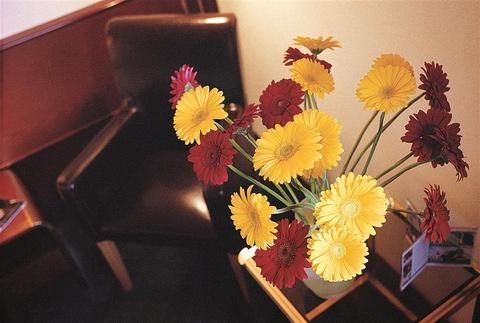 صورة الفندق 14