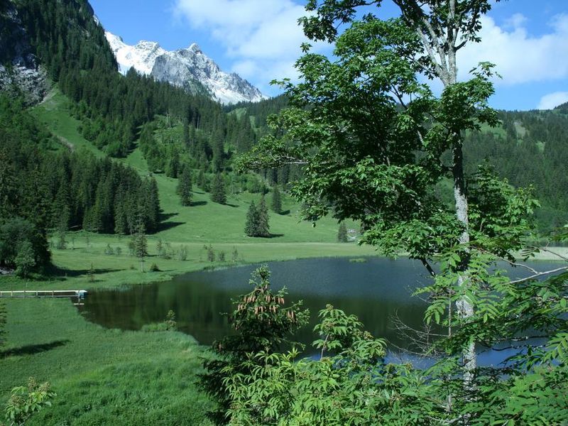 صورة الفندق 19