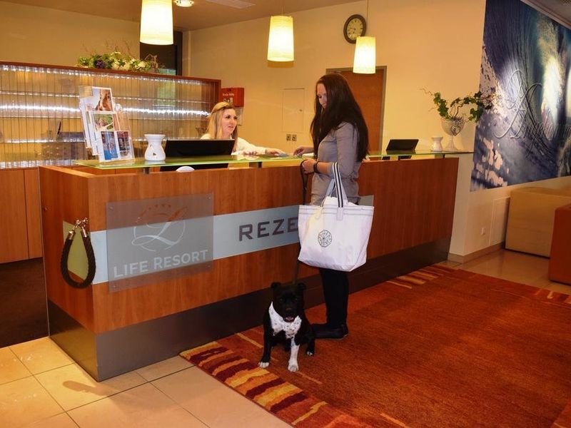 Hotel Photo 15