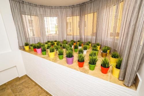 صورة الفندق 19