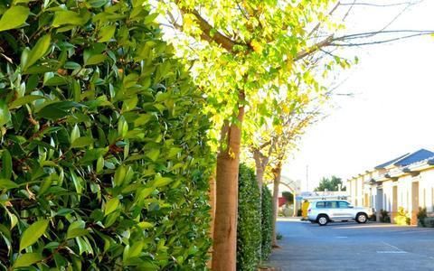 Hotel Photo 22