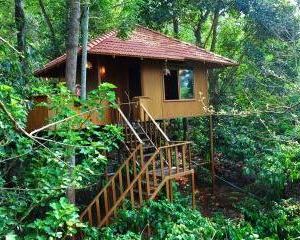 Planet Green Plantation Resorts, Wayanad, Kerala Kalpetta India