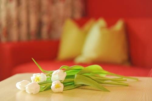 صورة الفندق 7