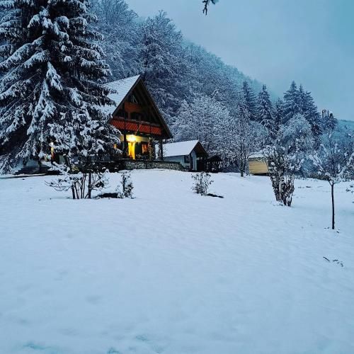 صورة الفندق 2