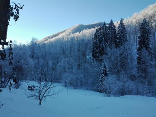 صورة الفندق 8