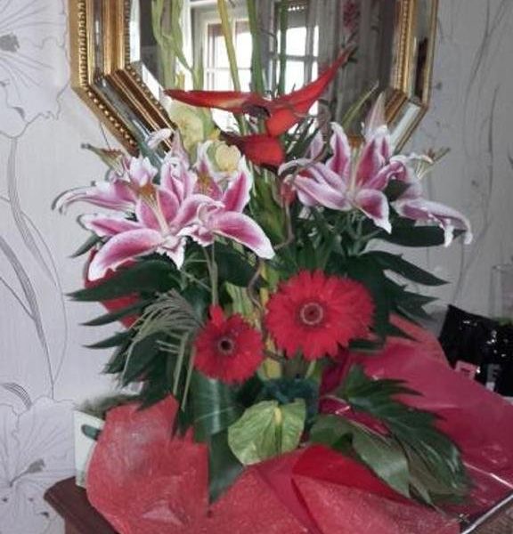 صورة الفندق 15